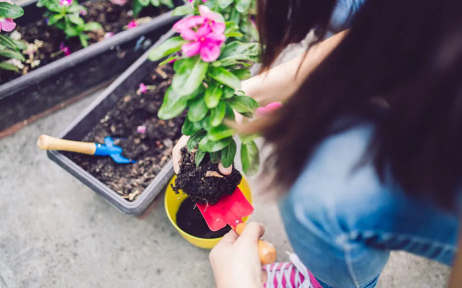 L'outil polyvalent : le transplantoir, allié des jardiniers