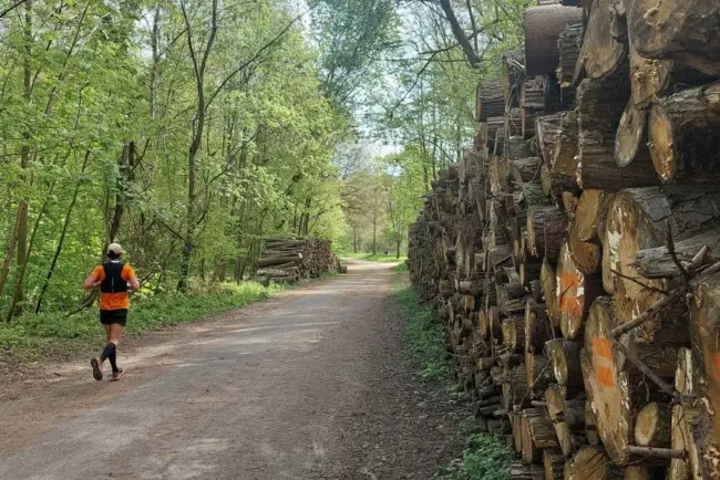 Meudon : de l'espoir en barres HLM