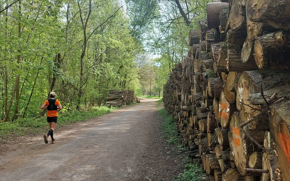 Meudon : de l'espoir en barres HLM