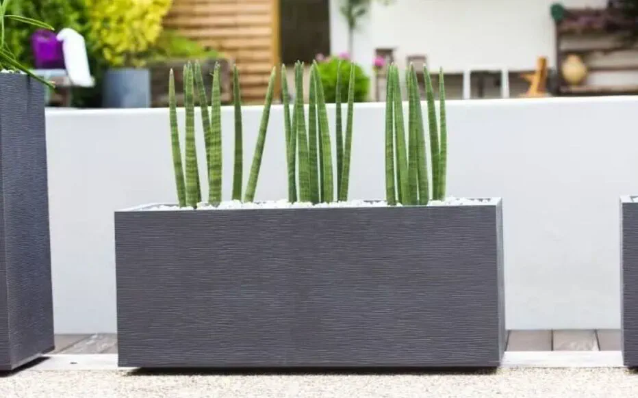 Transformez votre extérieur avec la jardinière EDA Graphit à -20% sur Cdiscount