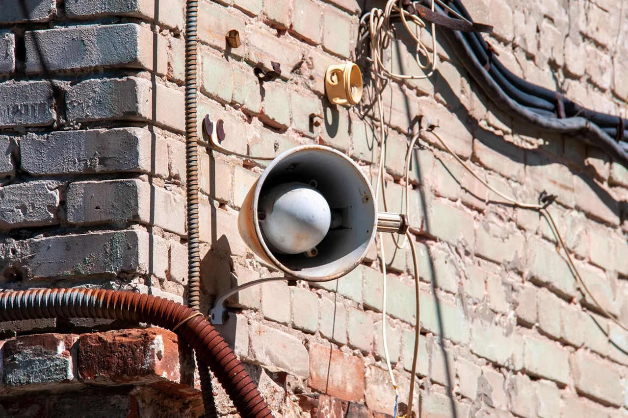 Vovik, le chat héros qui a déjoué les drones ukrainiens