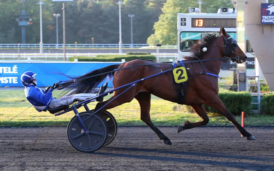# Hamigo domine le Prix Léo à Vincennes #