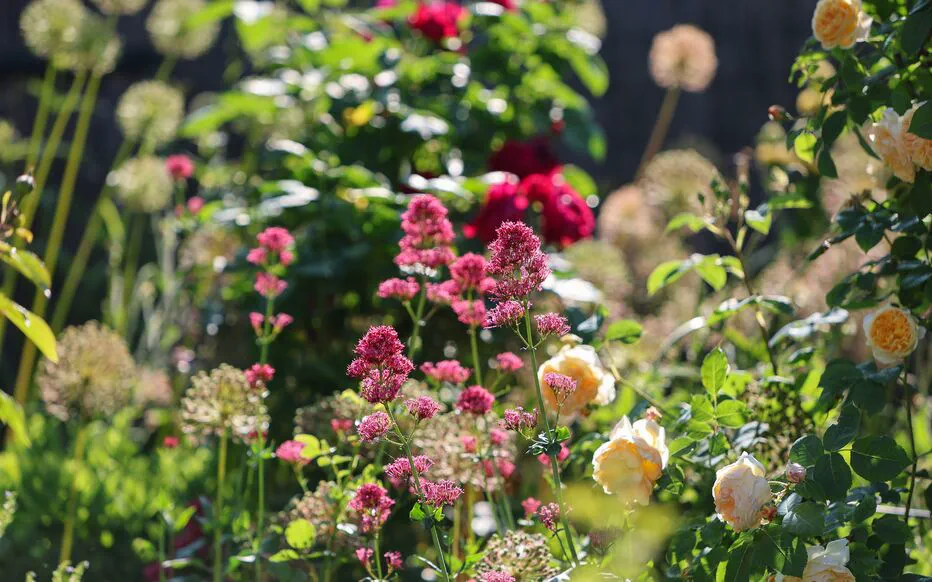 Jardin du futur : des plantes qui poussent toutes seules