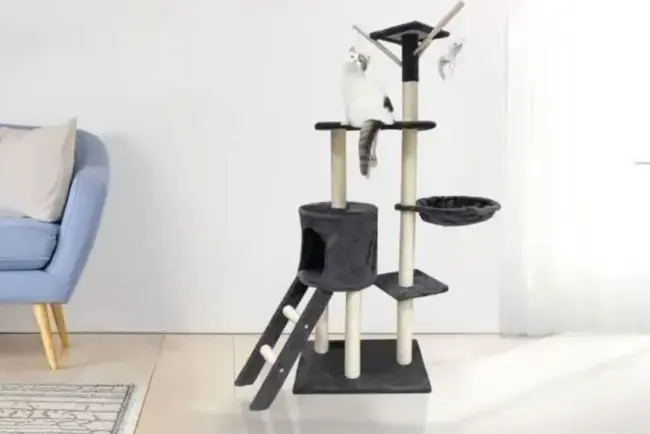 Un arbre à chat pour un félin heureux