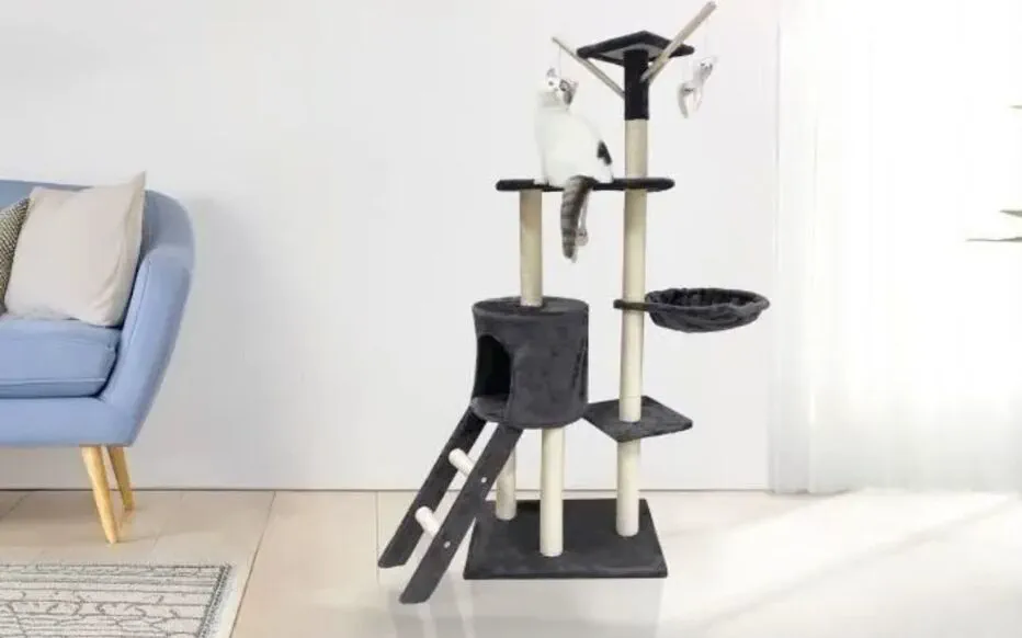 Un arbre à chat pour un félin heureux