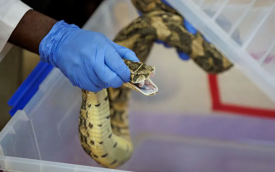 Une enquête ouverte après l'empoisonnement d'élèves en Inde