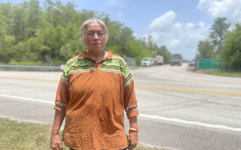 Alligator Alcatraz : Une forteresse dans les Everglades