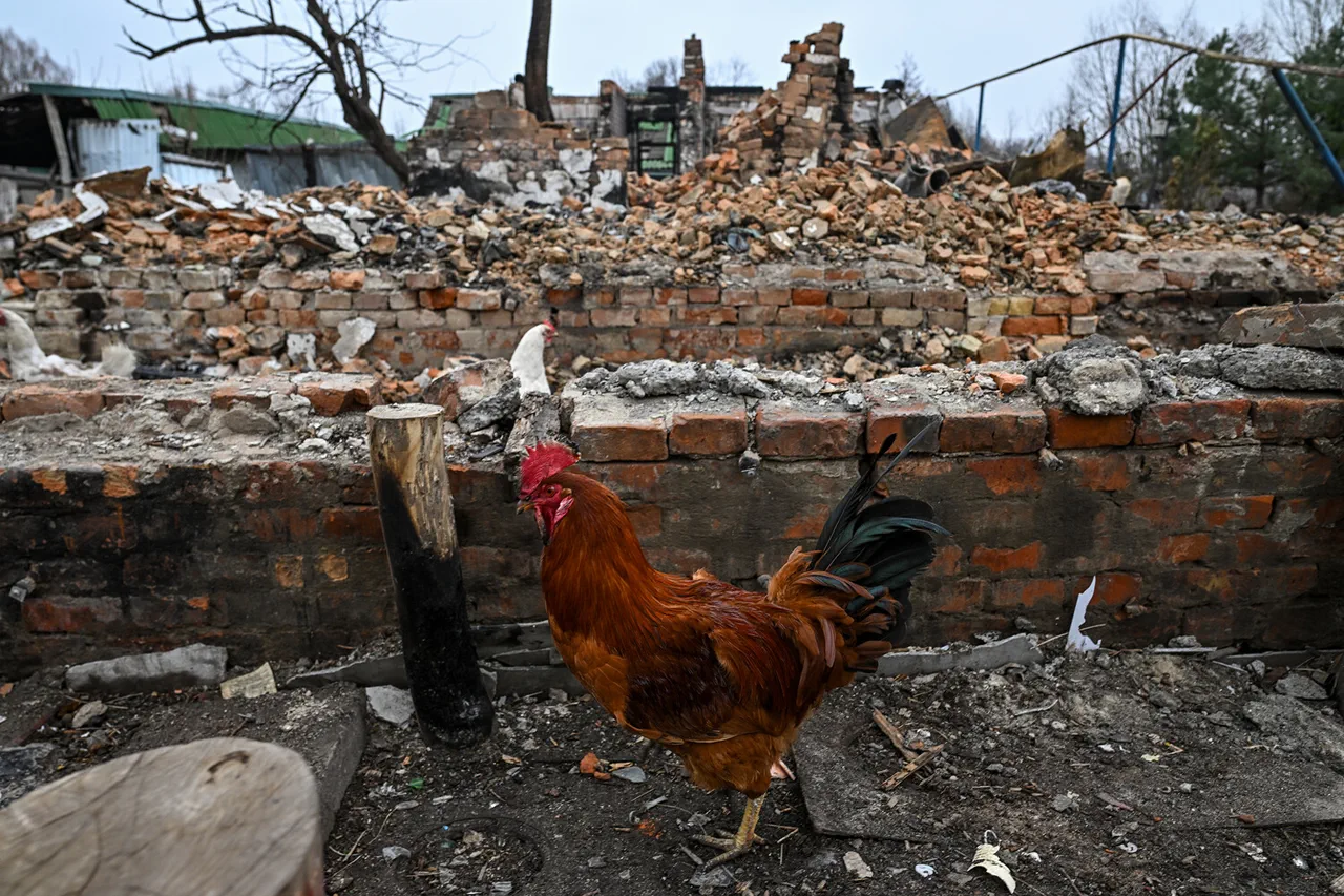 Des marques distinctives de taser sur les corps de victimes dans l'oblast de Koursk