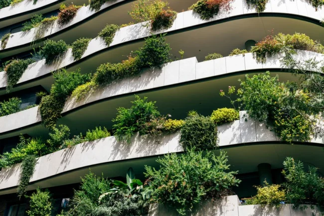 L'équilibre entre durabilité et contraintes économiques : le défi des étudiants en architecture