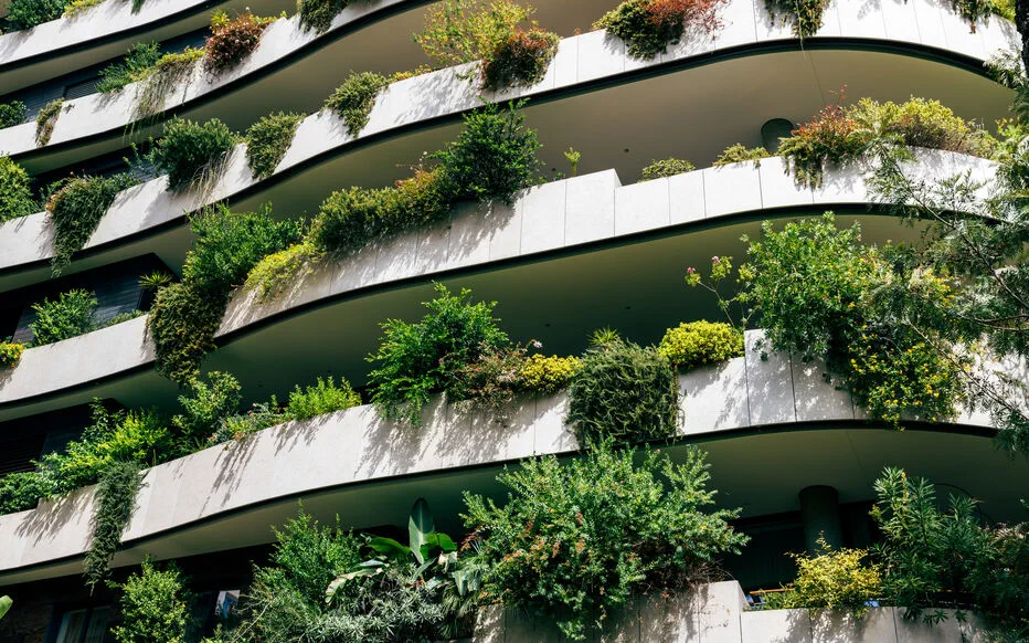 L'équilibre entre durabilité et contraintes économiques : le défi des étudiants en architecture