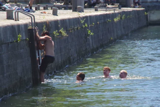 Les Britanniques bravent l'interdiction et se baignent dans la Seine