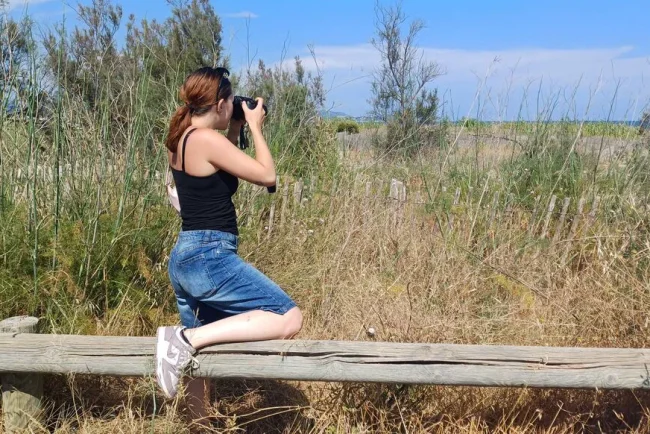 Une course contre la montre : le renard et la voiture électrique