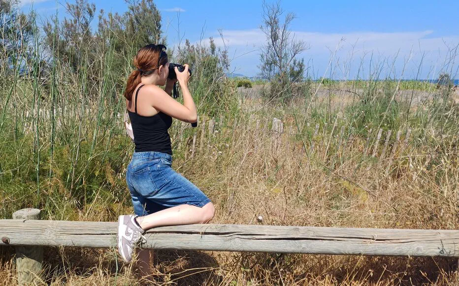 Une course contre la montre : le renard et la voiture électrique
