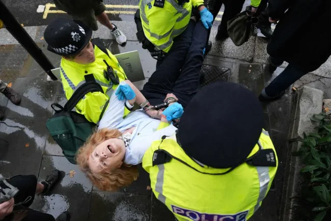 55 personnes arrêtées lors d'une manifestation de soutien au groupe propalestinien interdit