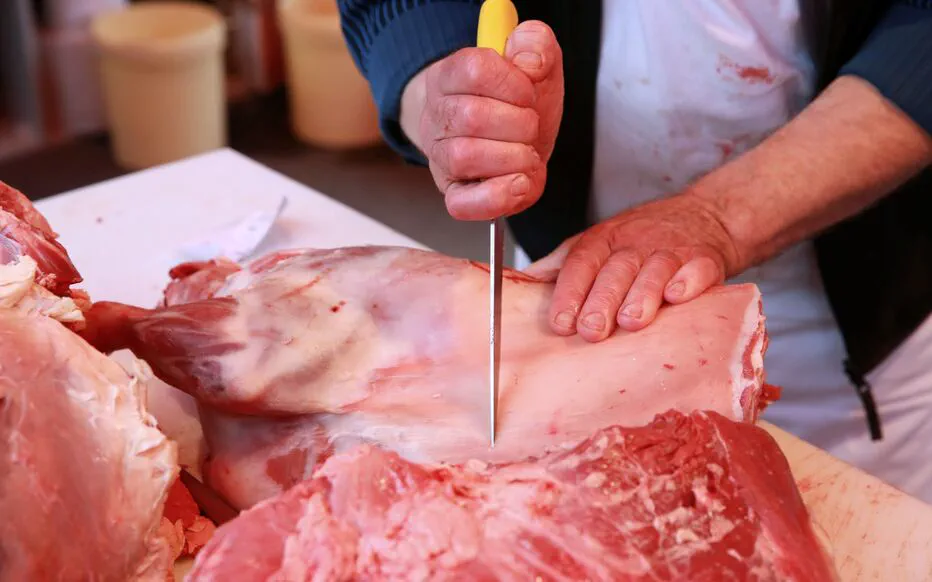 Alerte à la contamination par E. coli : au moins 30 personnes touchées dans l'agglomération de Saint-Quentin