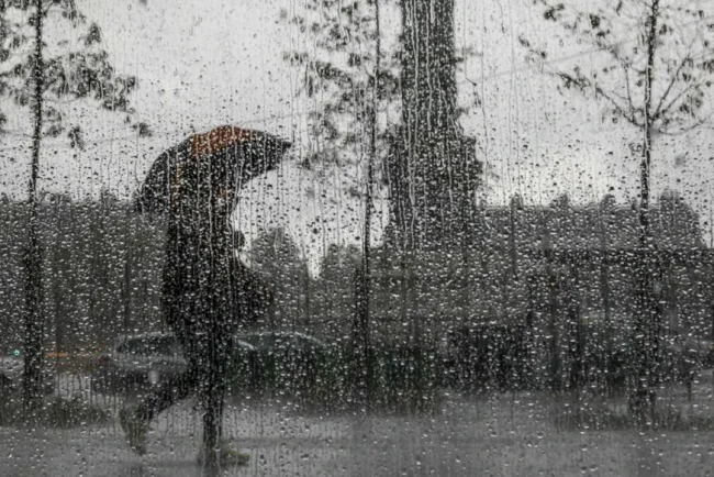 Canicule : la chaleur se calme en France après une vague intense
