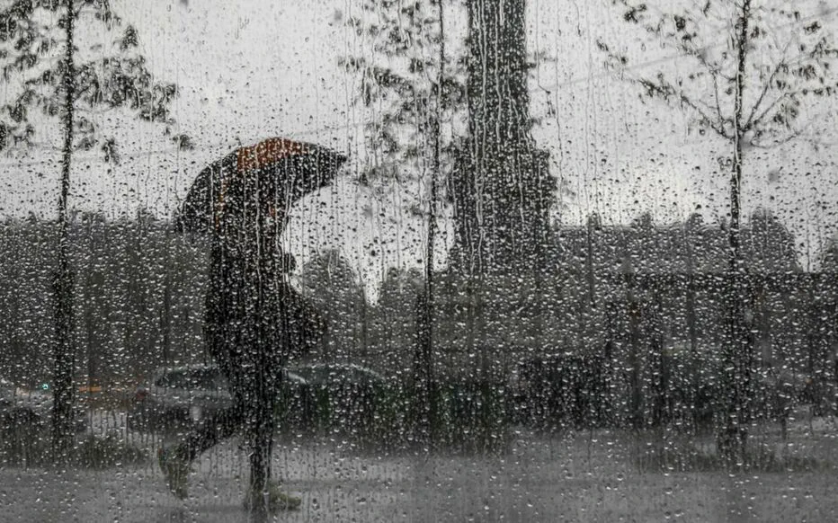 Canicule : la chaleur se calme en France après une vague intense