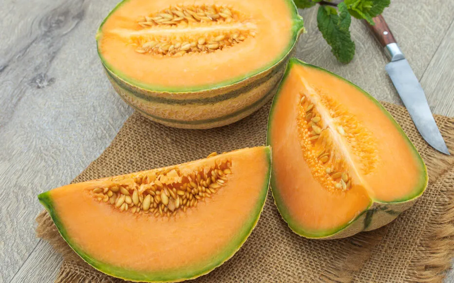 Comment choisir les meilleurs melons pour un été rafraîchissant