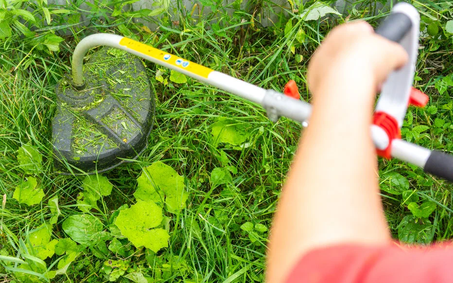 Débroussaillage obligatoire : une loi pour prévenir les feux de forêt en France