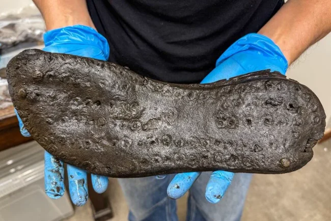 Des chaussures de taille extraordinaire dévoilent leurs secrets