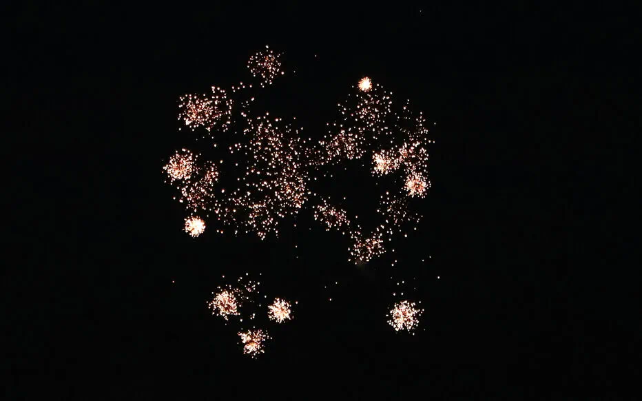 Feux d'artifice : les départements prennent des précautions en vue du 14 juillet