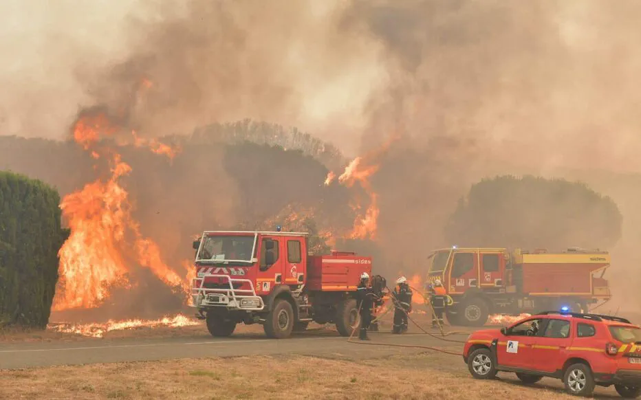 Inquiétude face aux incendies dévastateurs dans l'Aude : le monde économique et agricole se mobilise