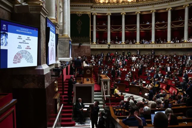 La députée Liliana Tanguy sous le feu des critiques pour son vote en faveur d'un pesticide cancérogène