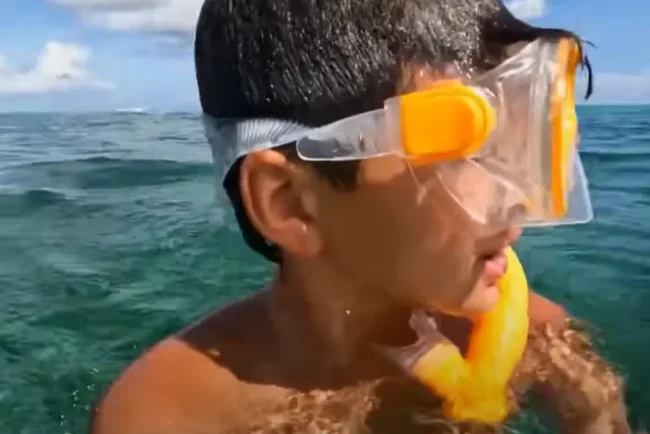 La survie incroyable de Jameson Reeder Jr. face à un requin