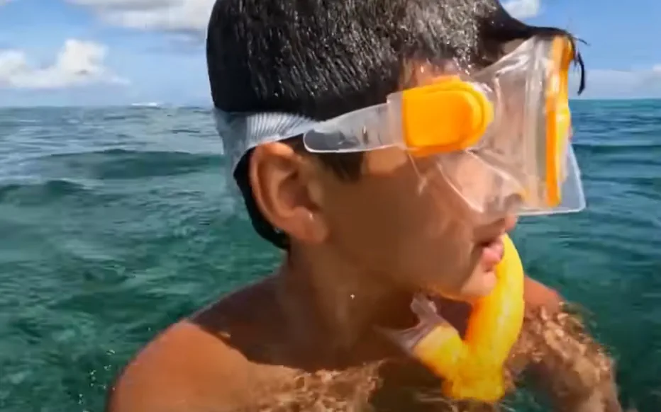 La survie incroyable de Jameson Reeder Jr. face à un requin