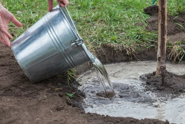 L'arrosage intelligent : répondre aux nouveaux défis de l'entretien des jardins