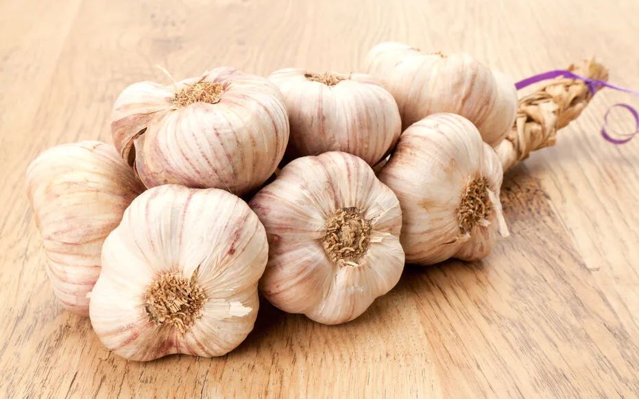 L'art du tressage de l'ail : comment conserver votre récolte