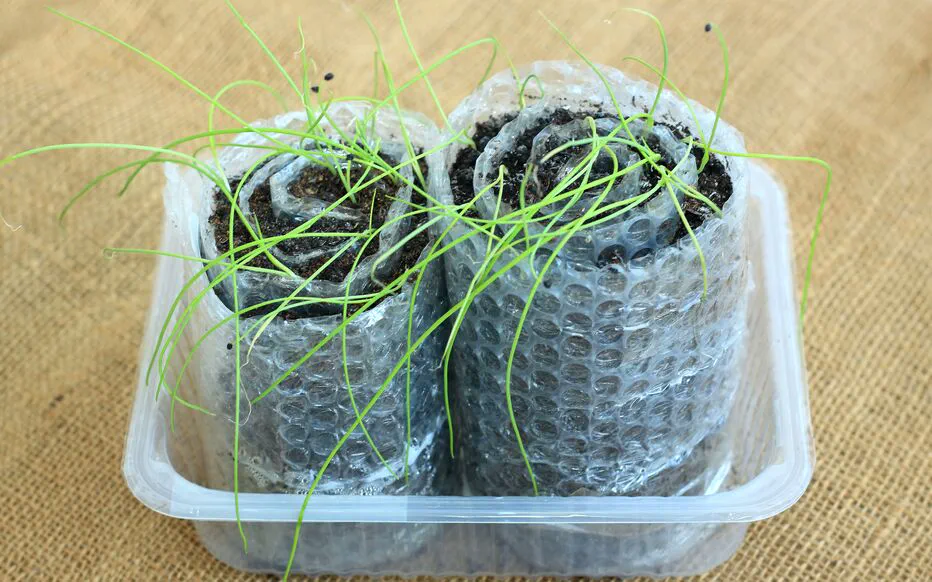 Le papier bulle : un allié inattendu pour le jardinage