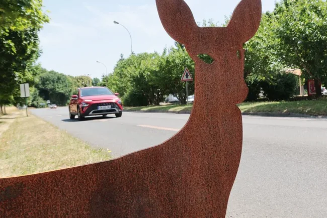 Les animales sauvent des vies à Orry-la-Ville