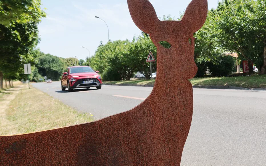 Les animales sauvent des vies à Orry-la-Ville