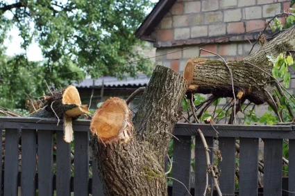 Les dangers de l'été : quand la nature s'invite dans les litiges immobiliers