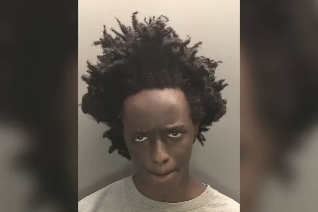 L'héritage lumineux des petites filles : un hommage