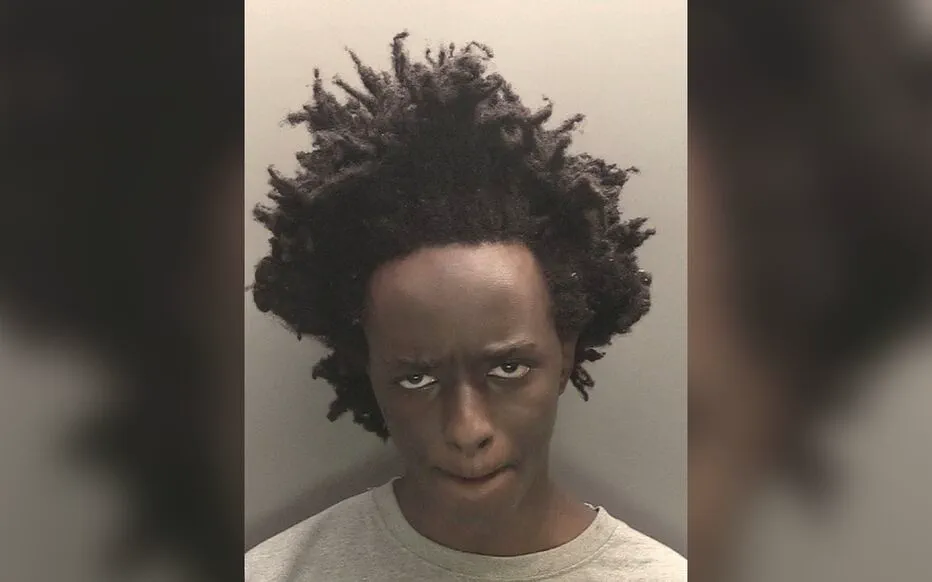 L'héritage lumineux des petites filles : un hommage