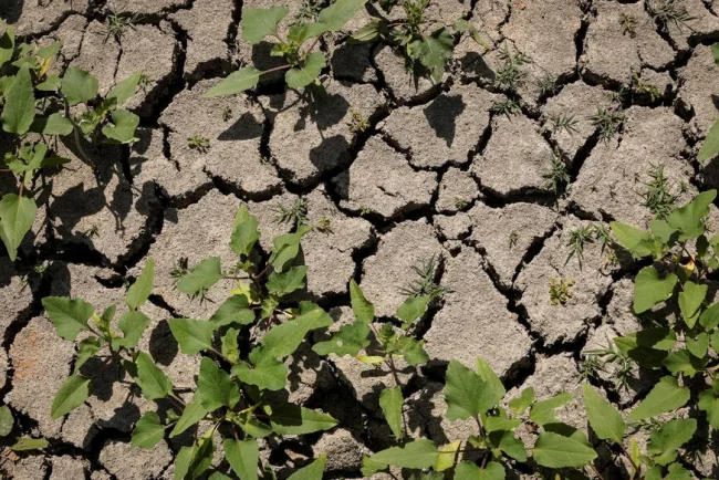 Pas de dette budgétaire mais écologique : la planète a besoin d'urgence de mesures vertes