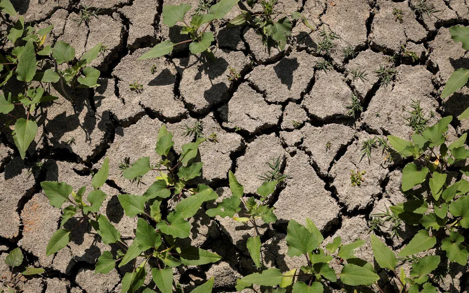 Pas de dette budgétaire mais écologique : la planète a besoin d'urgence de mesures vertes