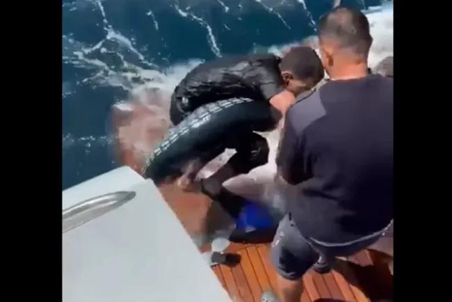 Sauvetage héroïque au large des côtes espagnoles