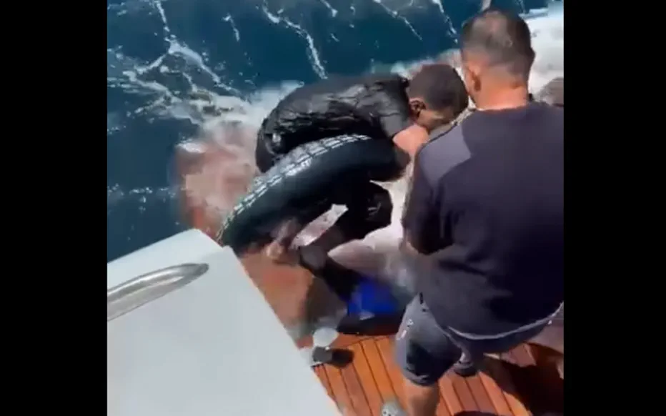 Sauvetage héroïque au large des côtes espagnoles