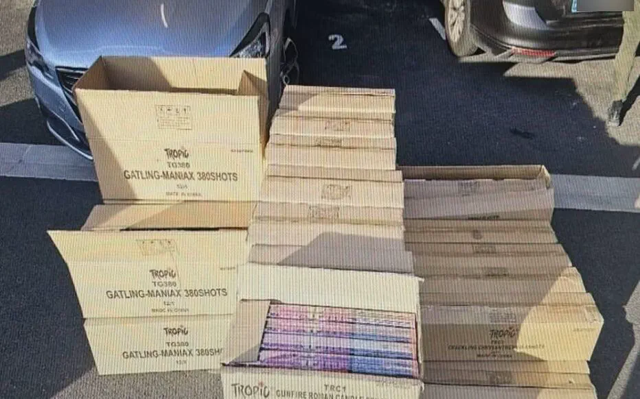 Un avocat demande une pénalité réduite pour le transport et la détention d'artifices pyrotechniques.