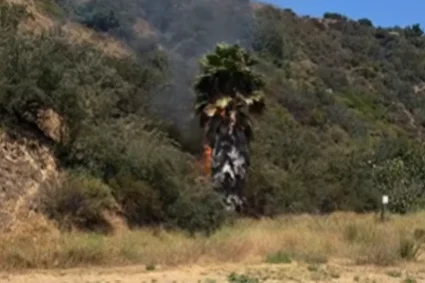 Un coup de foudre inattendu lors d'une randonnée à Los Angeles