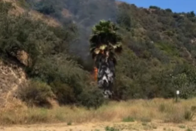 Un coup de foudre inattendu lors d'une randonnée à Los Angeles