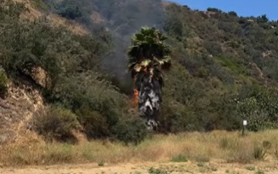 Un coup de foudre inattendu lors d'une randonnée à Los Angeles