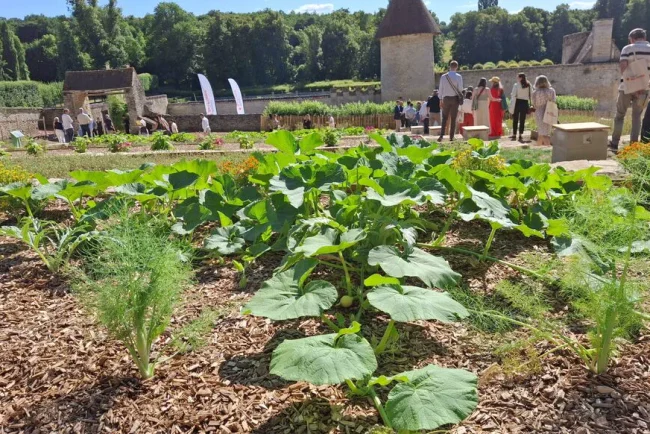 Un nouveau souffle pour le domaine de Villarceaux : innovations et projets passionnants