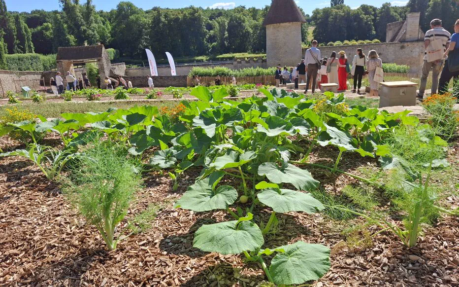 Un nouveau souffle pour le domaine de Villarceaux : innovations et projets passionnants