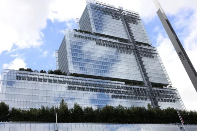 Une cicatrice comme témoin : « J'ai peur de vivre »