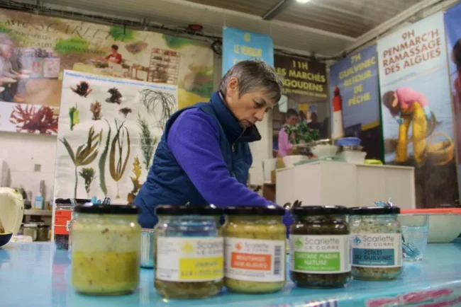 Algues marines : des trésors dans l'océan pour la santé et le goût