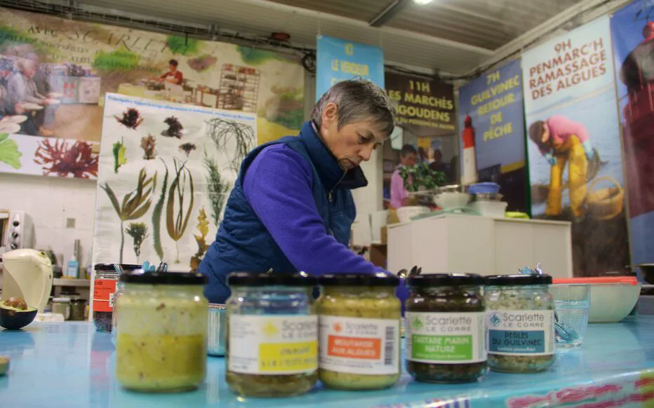 Algues marines : des trésors dans l'océan pour la santé et le goût